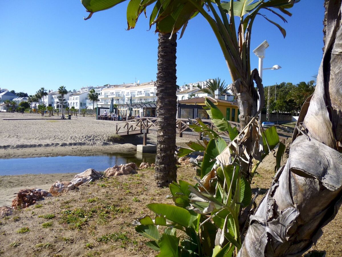 Appartement 1 chambre avec terrasse privée à Mijas Costa - Photo 4