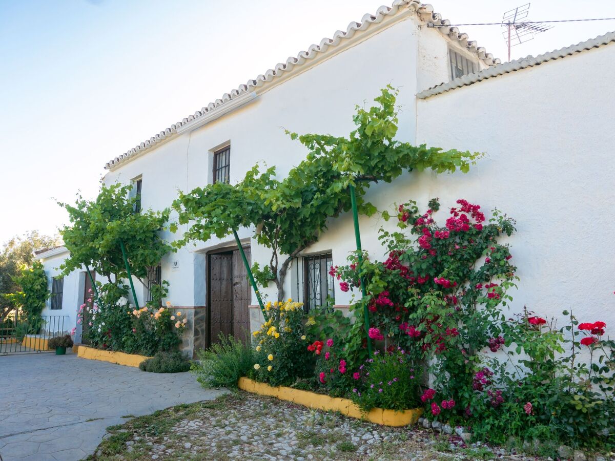 Huerta la Lapa – Maison rurale 10 pers., piscine - Photo 8
