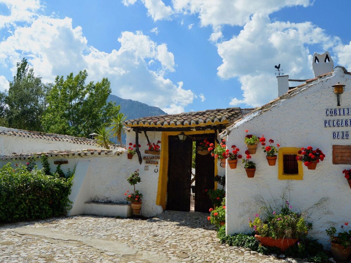 Cortijo Pulgarin Bajo – Ferme andalouse à Alfarnatejo, 10 pers. - Photo 1