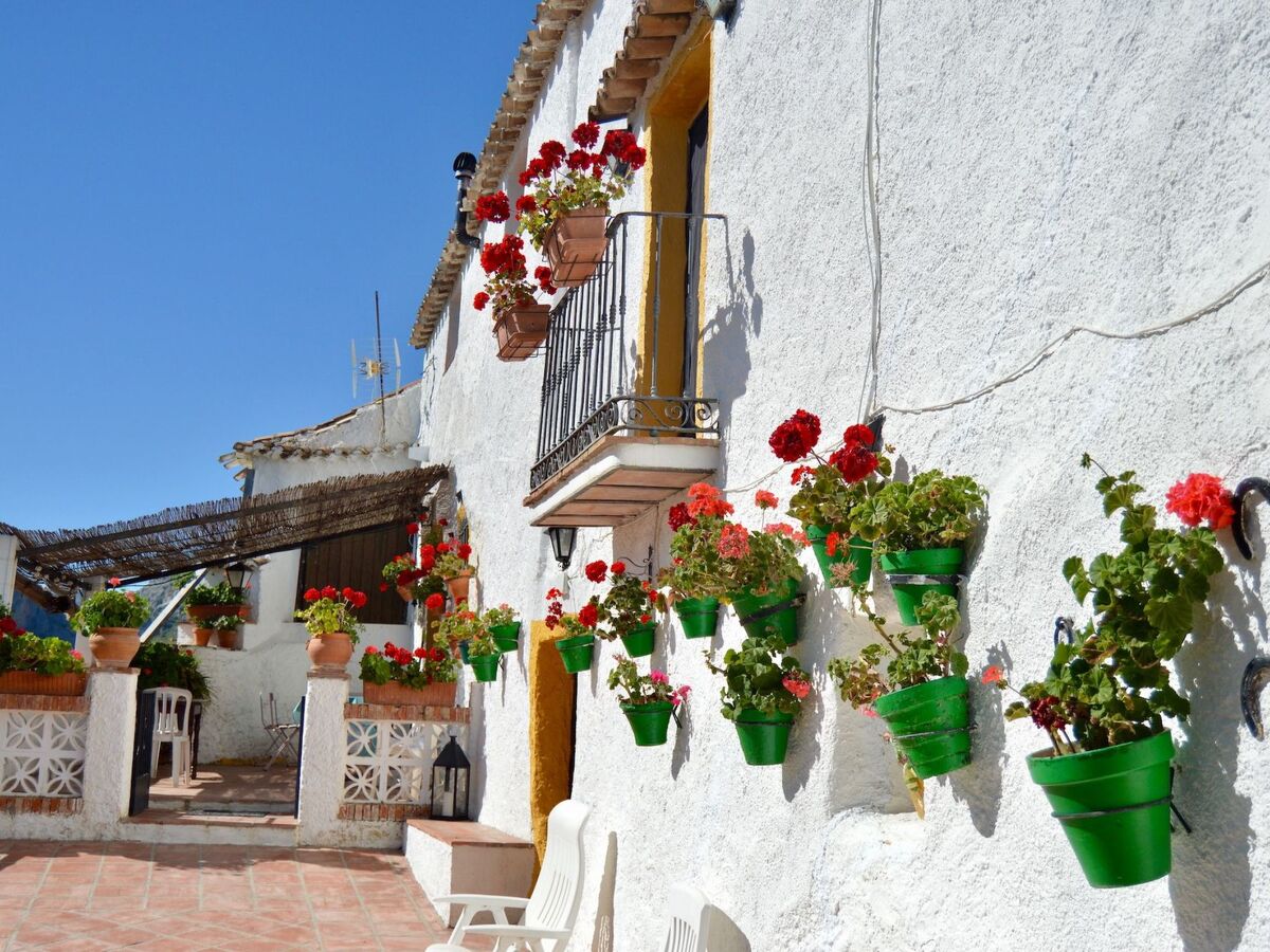 Cortijo Pulgarin Bajo – Ferme andalouse à Alfarnatejo, 10 pers. - Photo 16