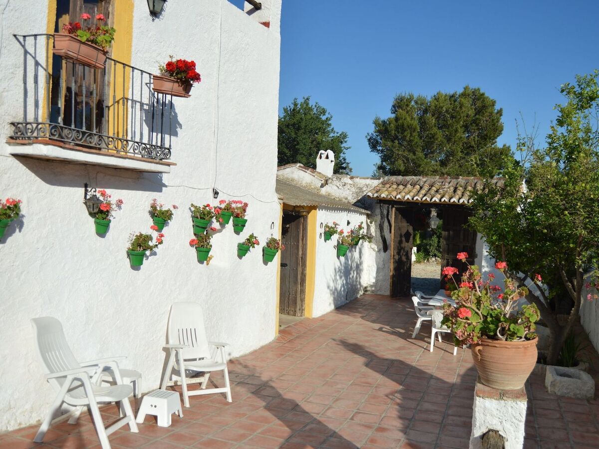 Cortijo Pulgarin Bajo – Ferme andalouse à Alfarnatejo, 10 pers. - Photo 18