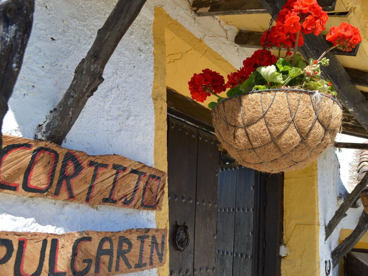 Cortijo Pulgarin Bajo – Ferme andalouse à Alfarnatejo, 10 pers. - Photo 19