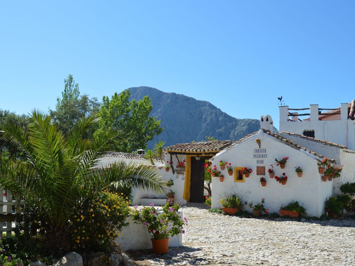 Cortijo Pulgarin Bajo – Ferme andalouse à Alfarnatejo, 10 pers. - Photo 28