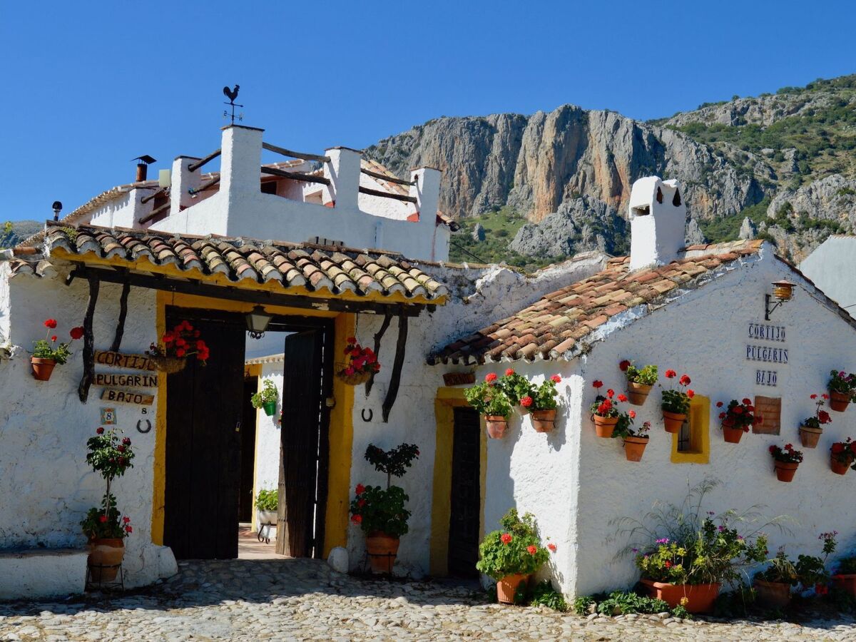 Cortijo Pulgarin Bajo – Ferme andalouse à Alfarnatejo, 10 pers. - Photo 29