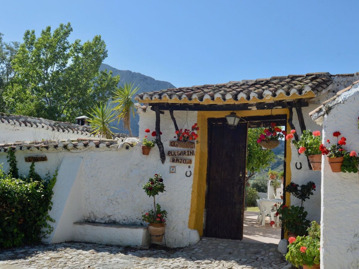Cortijo Pulgarin Bajo – Ferme andalouse à Alfarnatejo, 10 pers. - Photo 30
