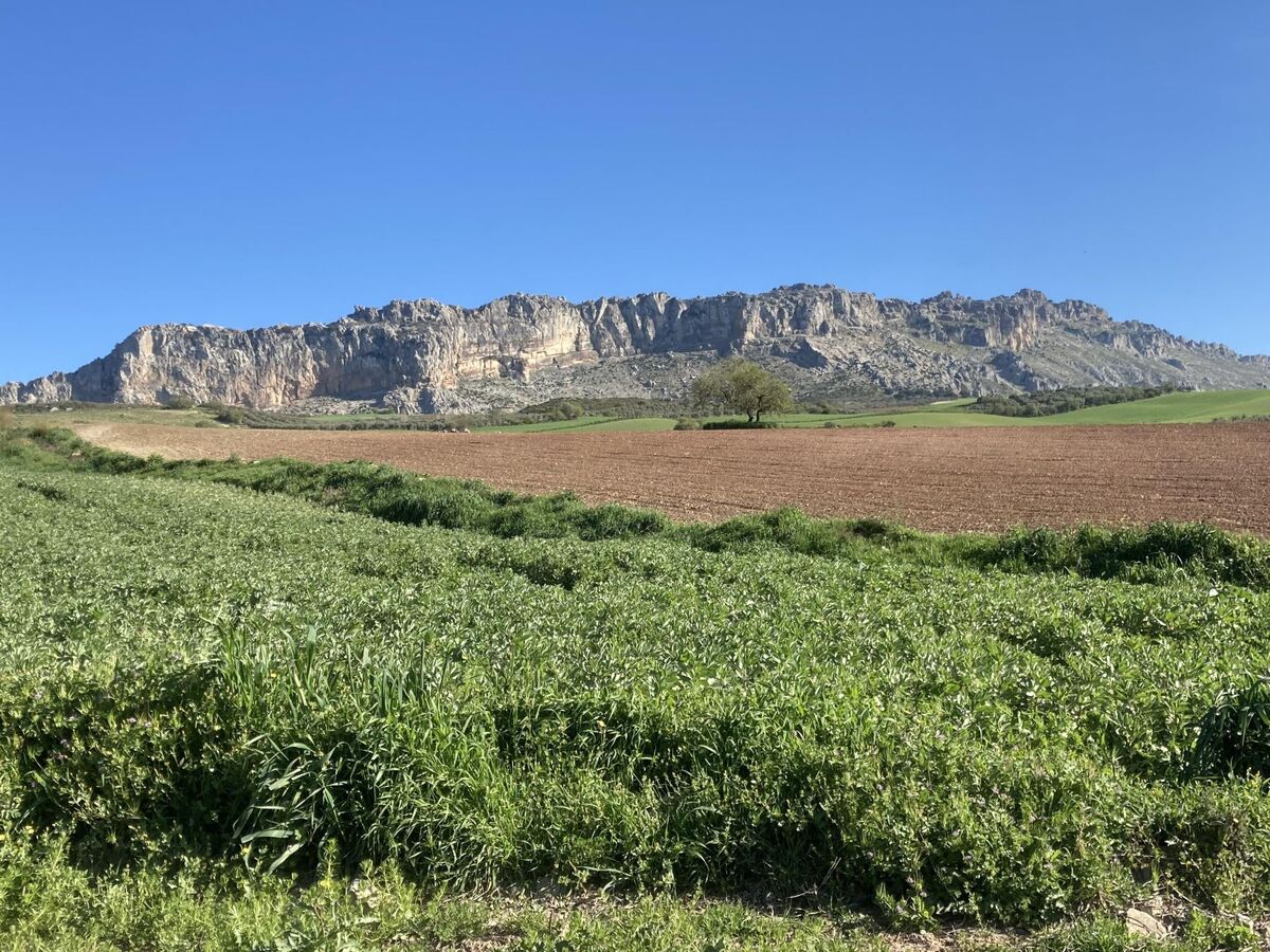 Maison avec piscine privée et vue vallée à Antequera - Photo 25
