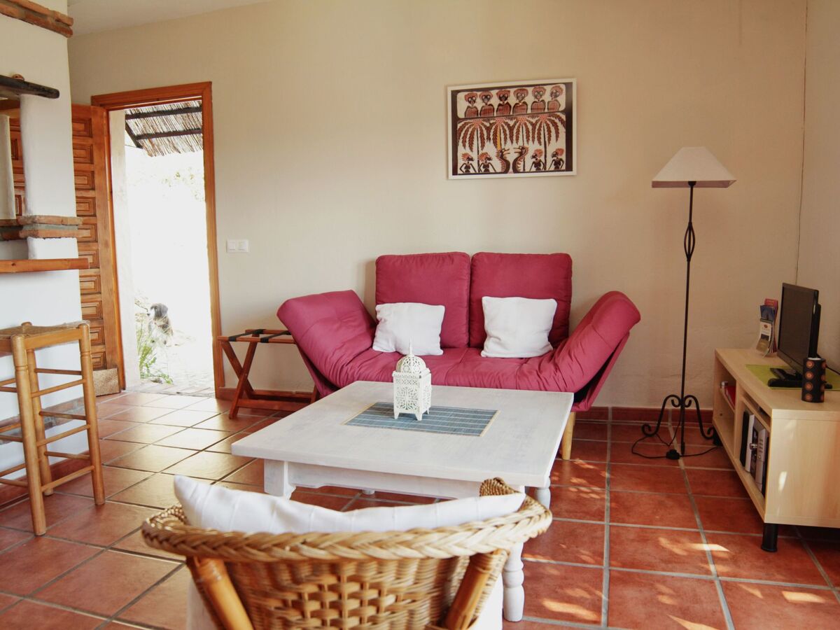 Studio Jacaranda, terrasse panoramique sur finca à El Parralejo - Photo 1