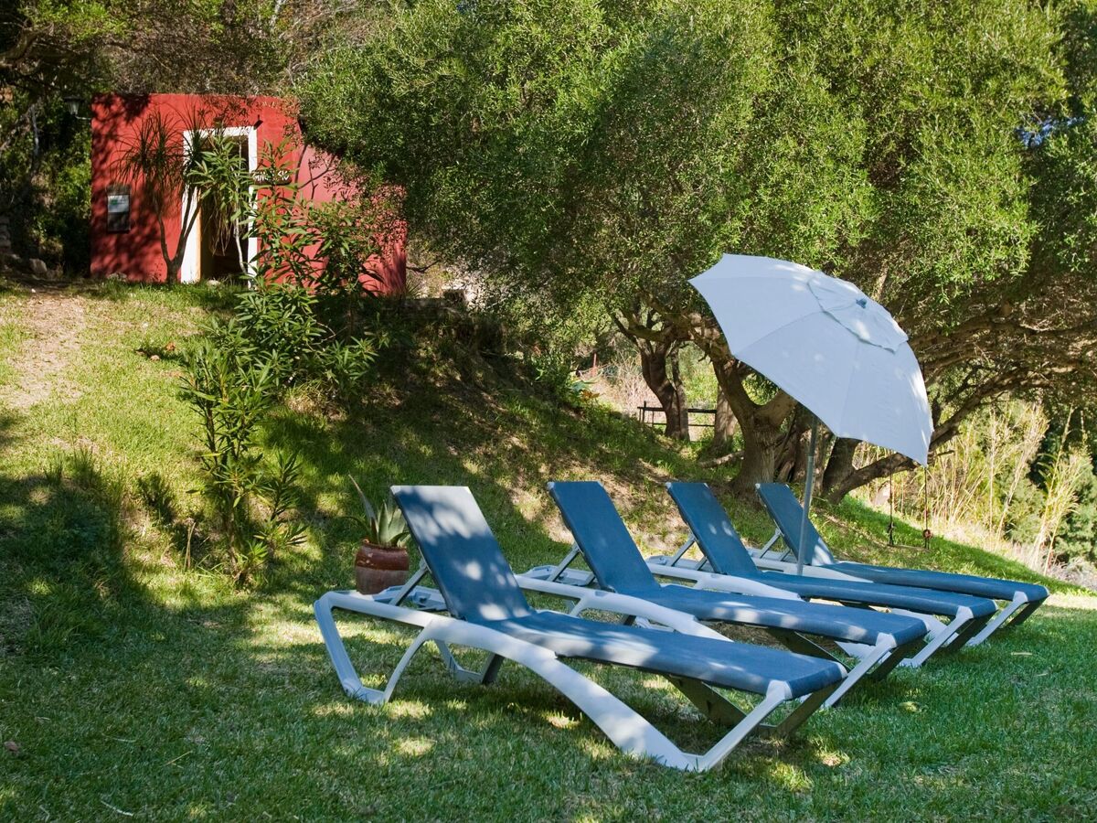 Studio Jacaranda, terrasse panoramique sur finca à El Parralejo - Photo 11