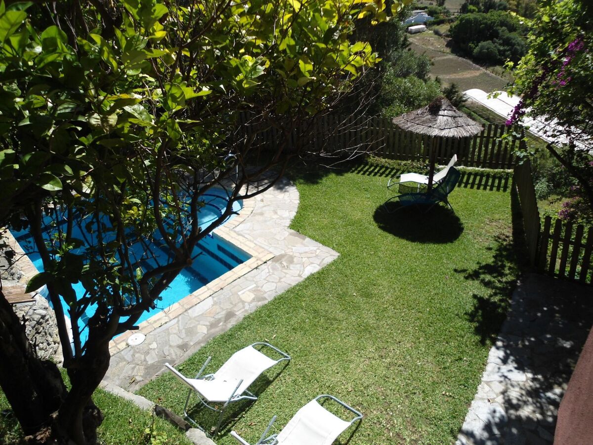 Studio Jacaranda, terrasse panoramique sur finca à El Parralejo - Photo 15