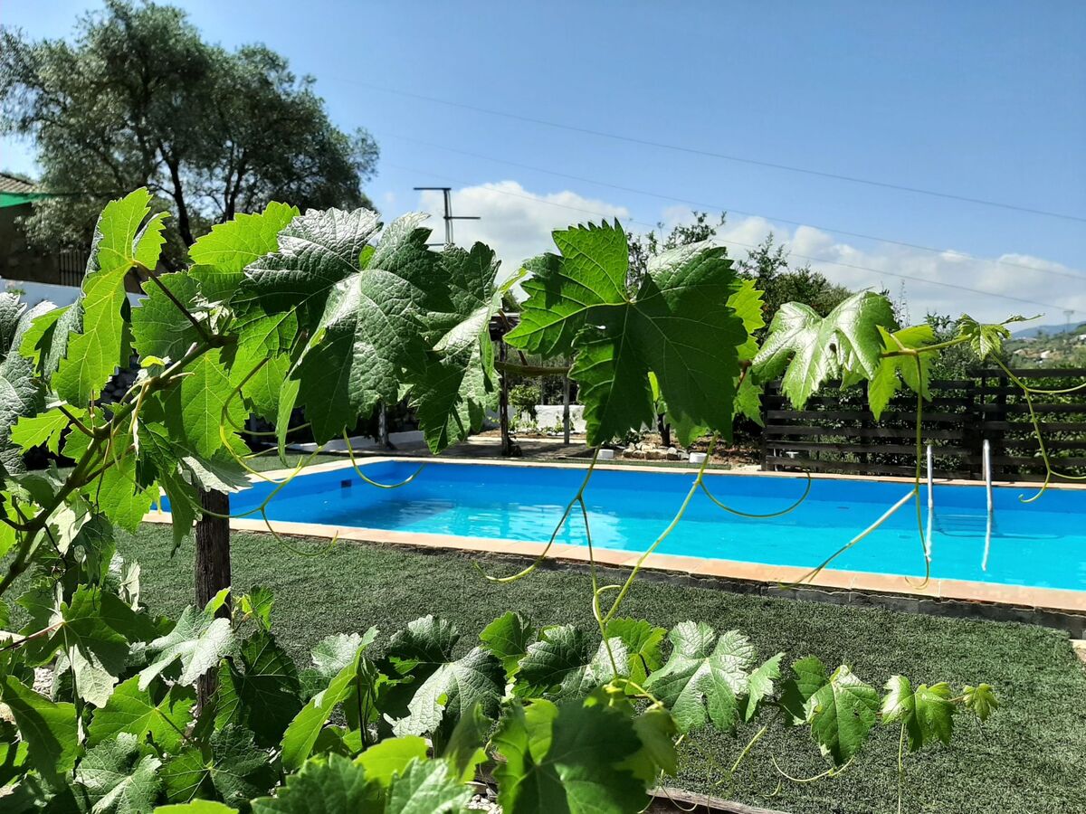 Maison Maestro Herrador – Piscine 10 x 8 m, Sierra de Cádiz - Photo 2
