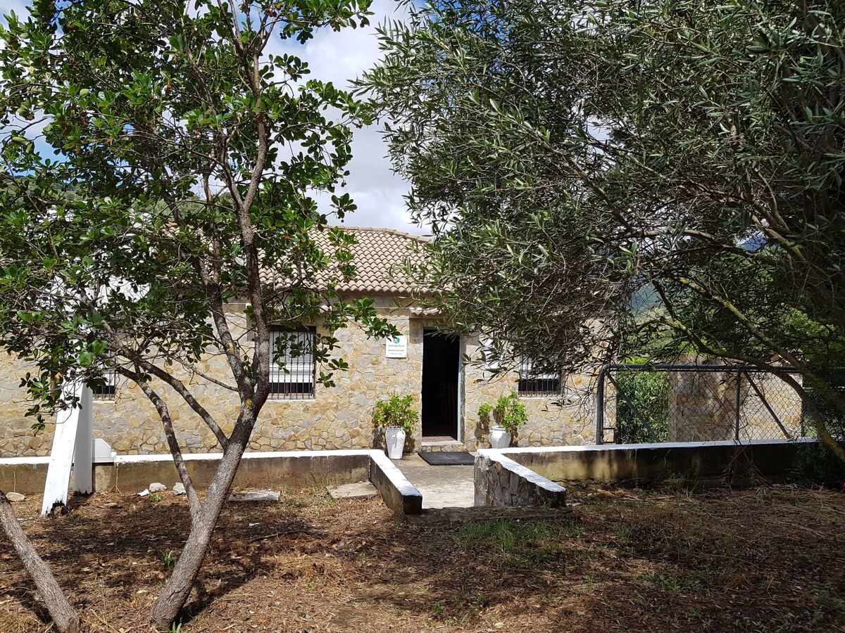 Maison Maestro Herrador – Piscine 10 x 8 m, Sierra de Cádiz - Photo 10