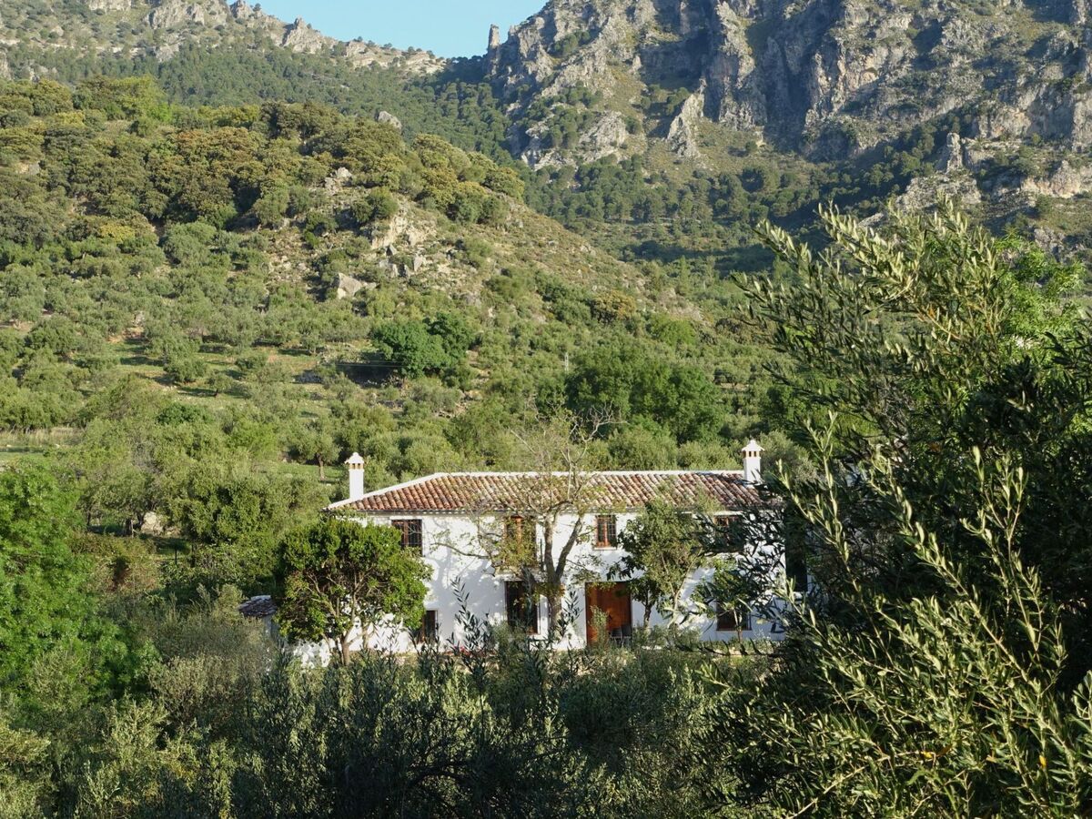 Maison Betania – vallée du Gaidovar, à 4 km de Grazalema - Photo 2