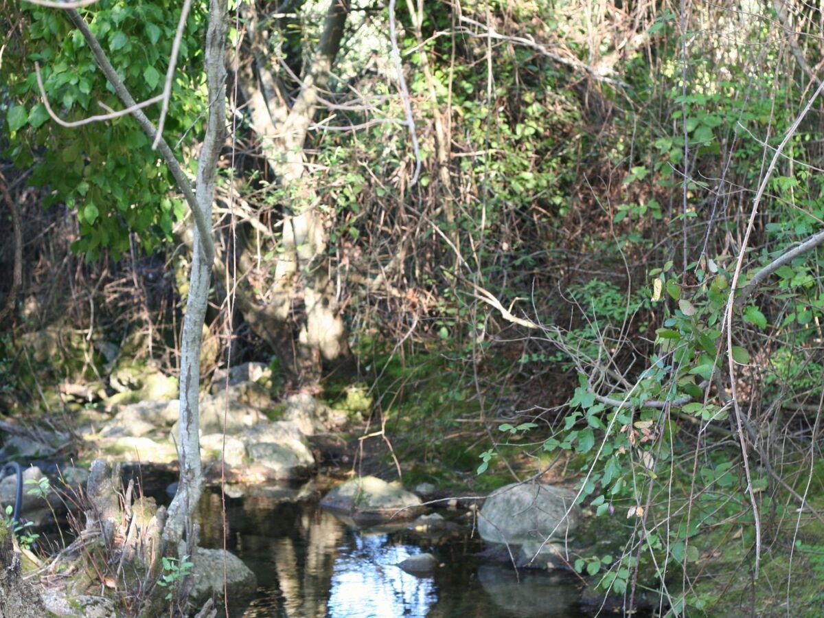 Maison Betania – vallée du Gaidovar, à 4 km de Grazalema - Photo 26