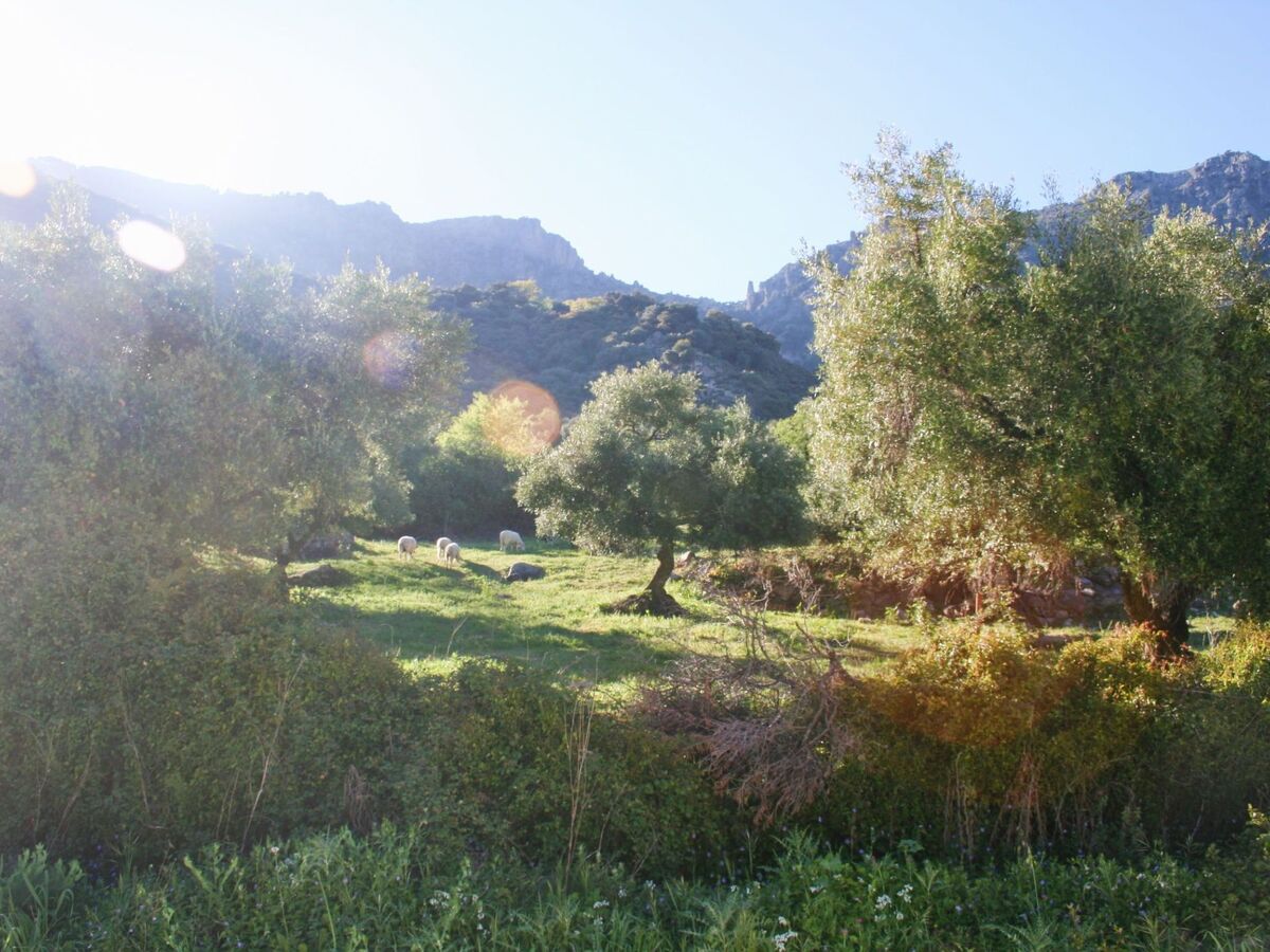 Maison Betania – vallée du Gaidovar, à 4 km de Grazalema - Photo 28