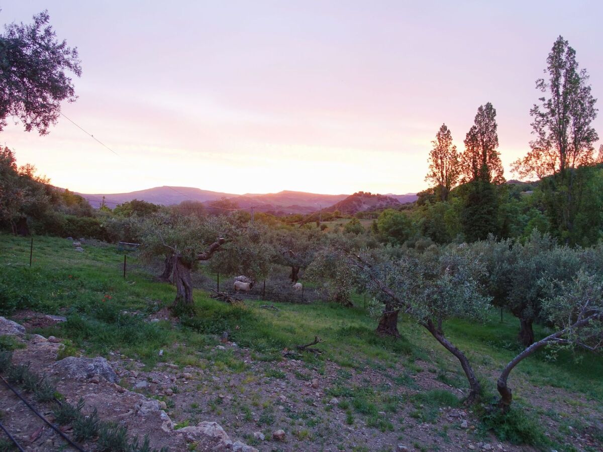Maison Betania – vallée du Gaidovar, à 4 km de Grazalema - Photo 29