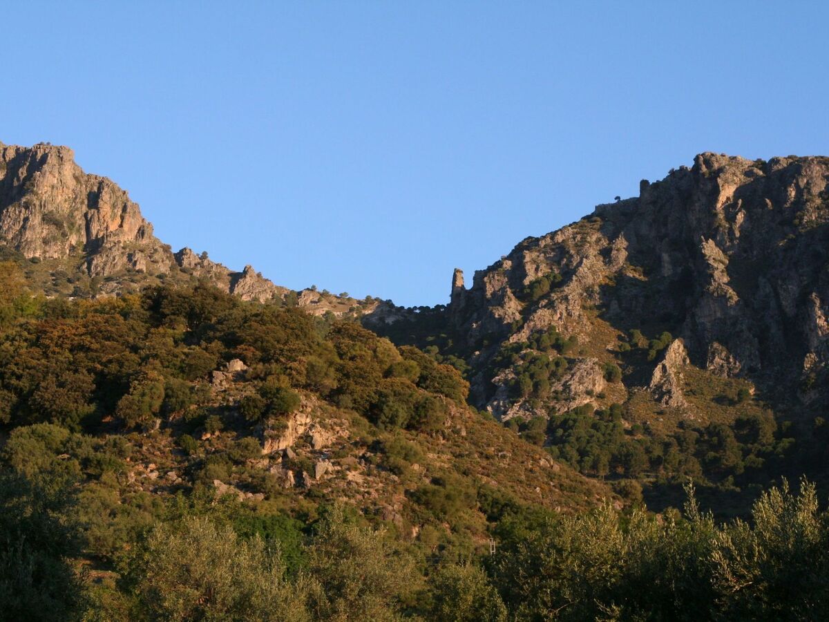 Maison Betania – vallée du Gaidovar, à 4 km de Grazalema - Photo 30