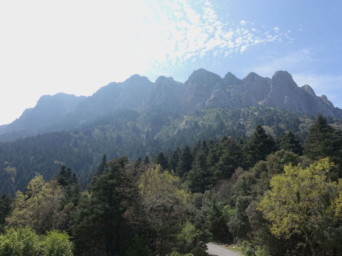 Maison Betania – vallée du Gaidovar, à 4 km de Grazalema - Photo 31