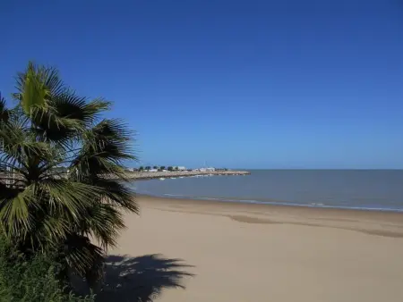 Appartement Caracola, terrasse 30m² à 300m des plages : photo 49