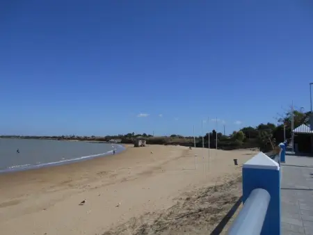 Appartement Caracola, terrasse 30m² à 300m des plages : photo 50