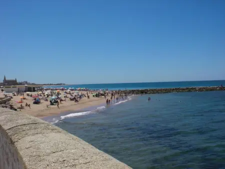 Appartement Caracola, terrasse 30m² à 300m des plages : photo 52