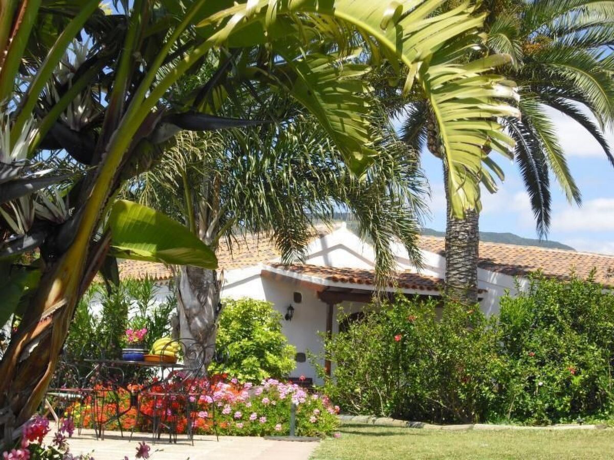 Cottage de 1885 sur finca de 6 ha avec vue mer, Tenerife - Photo 2