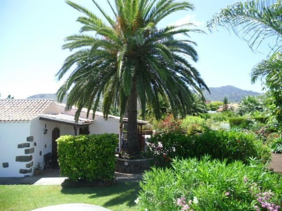 Cottage de 1885 sur finca de 6 ha avec vue mer, Tenerife - Photo 12