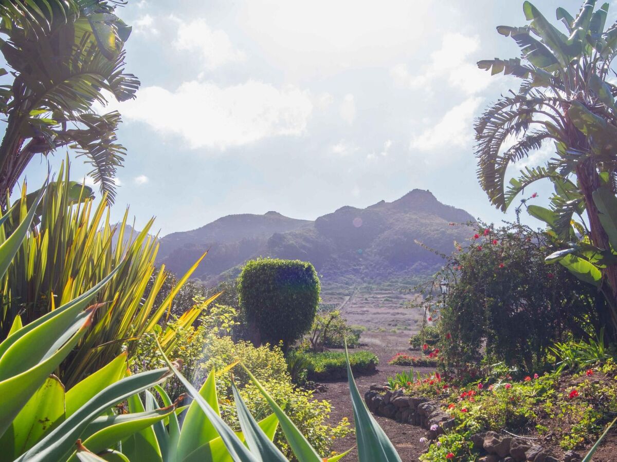 Cottage de 1885 sur finca de 6 ha avec vue mer, Tenerife - Photo 27