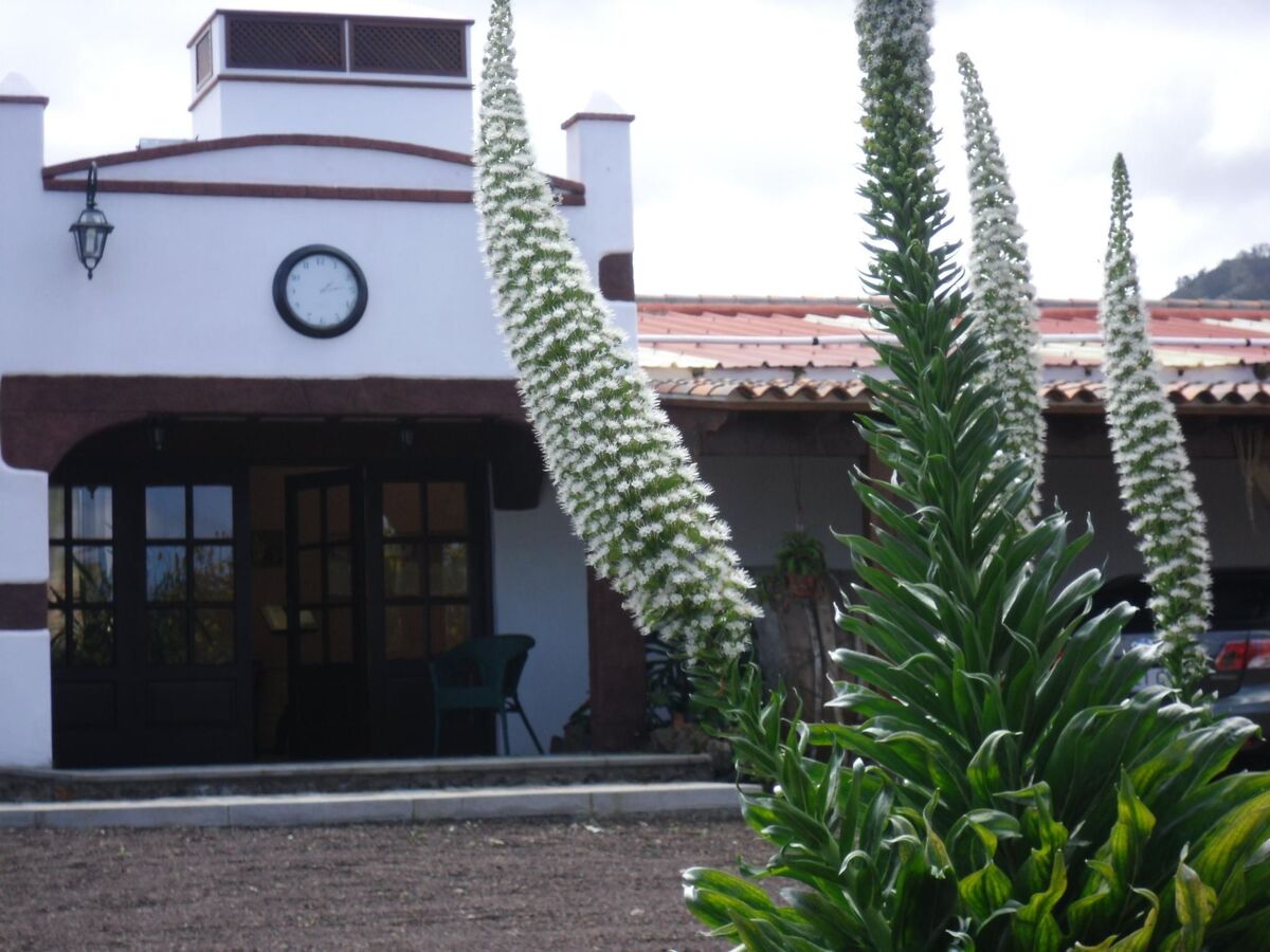 Cottage de 1885 sur finca de 6 ha avec vue mer, Tenerife - Photo 35