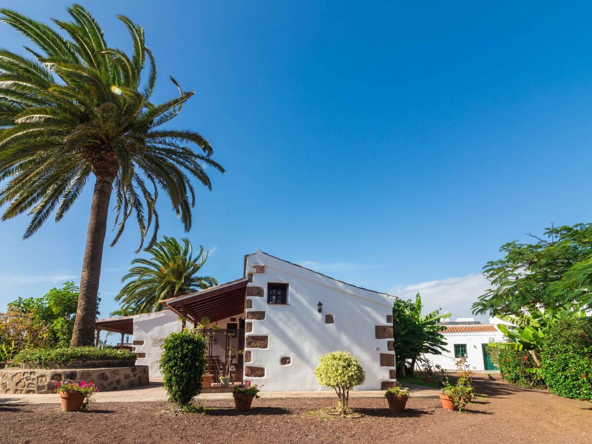 Finca El Picacho – maison à Santa Cruz, Anaga, vue mer - Photo 23