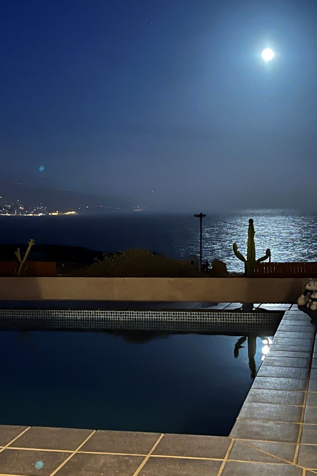 Studio avec piscine privée face à l'océan Atlantique - Photo 12