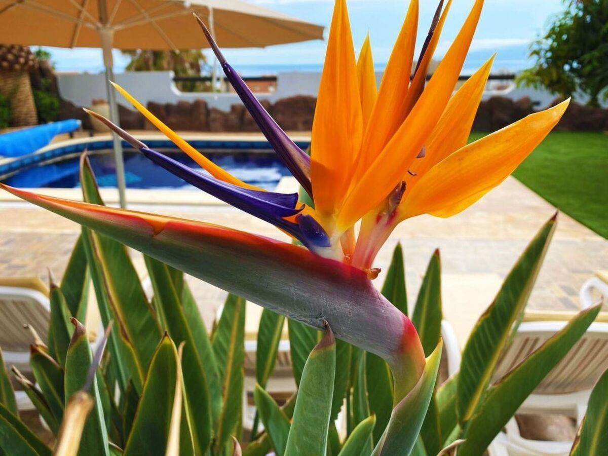 Villa Anais Luxury – piscine chauffée privée, vue mer, Armeñime - Photo 16
