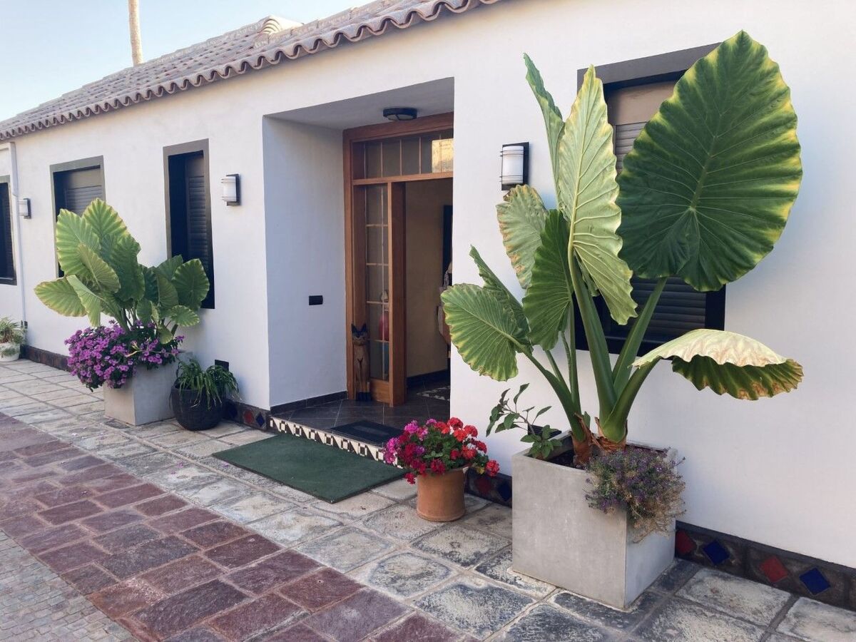 Maison Anais Luxury Villas à Callao Salvaje, piscine chauffée privée - Photo 36