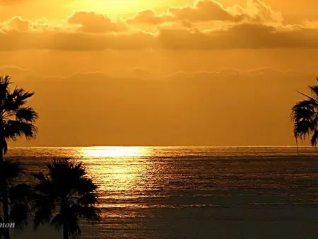 Appartement de luxe vue mer en 1ère ligne, Costa del Silencio : photo 29