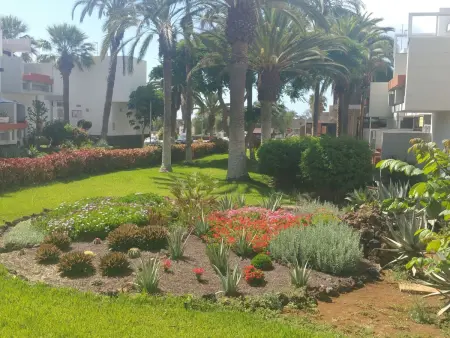 Appartement Primavera à Costa del Silencio, à 100 m de la mer : photo 2