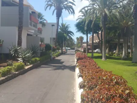 Appartement Primavera à Costa del Silencio, à 100 m de la mer : photo 3