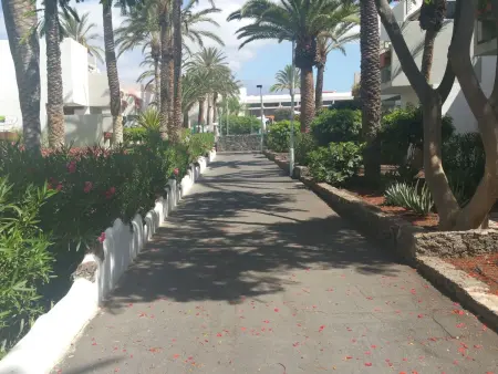 Appartement Primavera à Costa del Silencio, à 100 m de la mer : photo 4