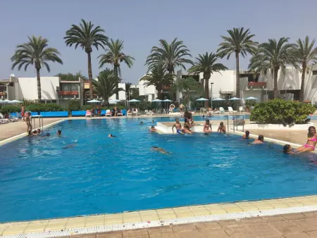 Appartement Primavera à Costa del Silencio, à 100 m de la mer : photo 8