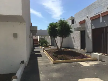 Appartement Primavera à Costa del Silencio, à 100 m de la mer : photo 13