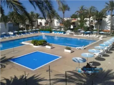 Appartement Primavera à Costa del Silencio, à 100 m de la mer : photo 19
