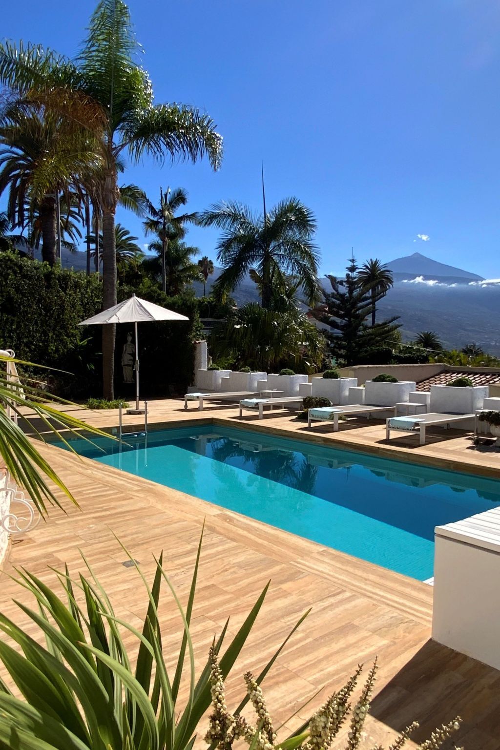 Viña Sol – Maison 6 pers. vue Teide et océan - Photo 4