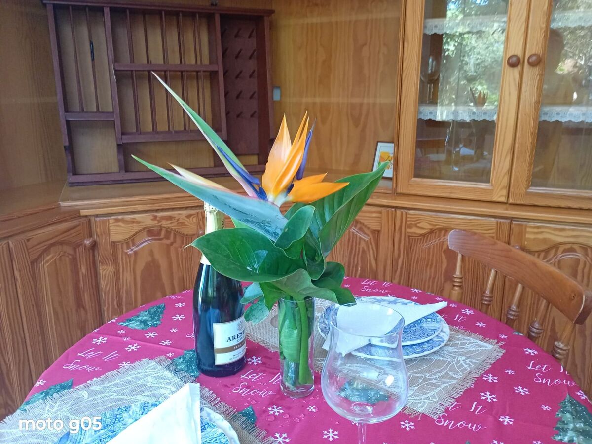 El Pajal House Relax – Maison 2 chambres Santa Ursula - Photo 19