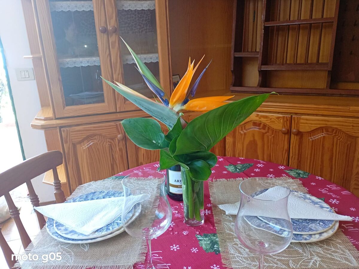 El Pajal House Relax – Maison 2 chambres Santa Ursula - Photo 21
