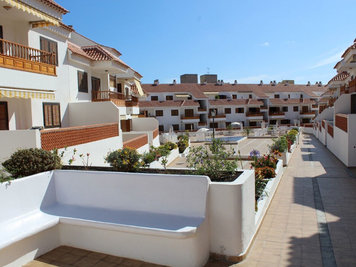 Appartement 1 chambre Costa Adeje, 300 m plage Las Vistas - Photo 9