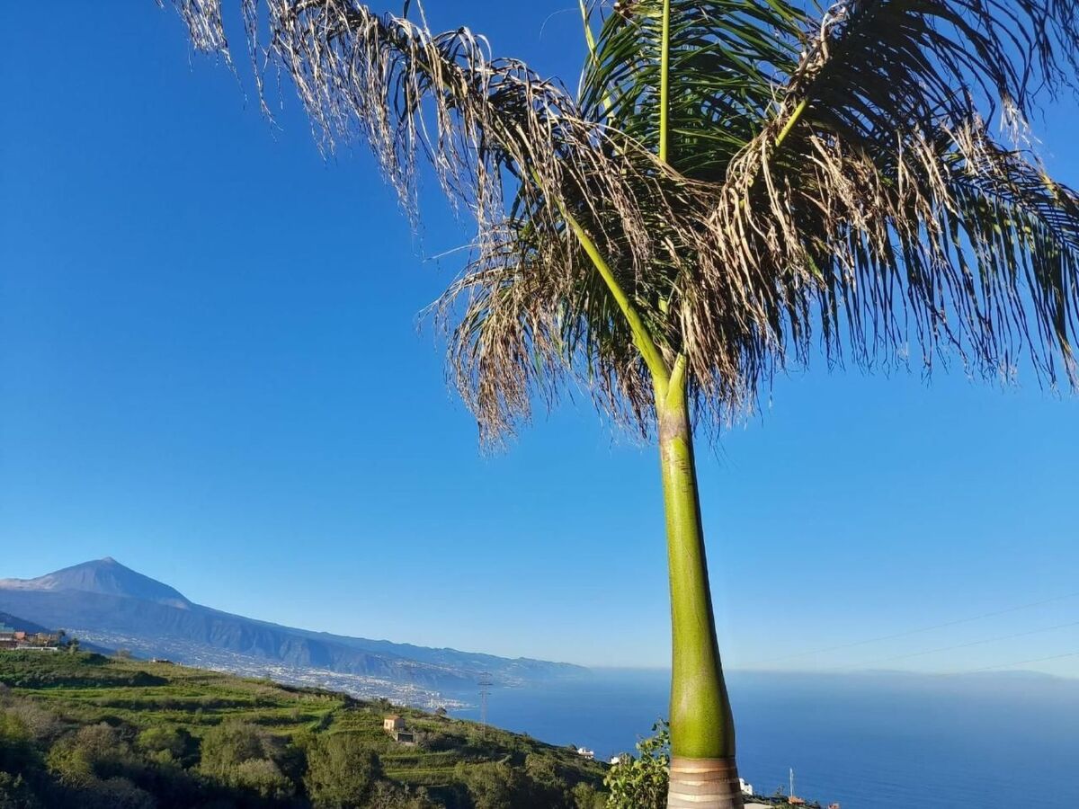 Chic Escape Villa – vue sur El Teide et l'Atlantique, El Sauzal - Photo 8