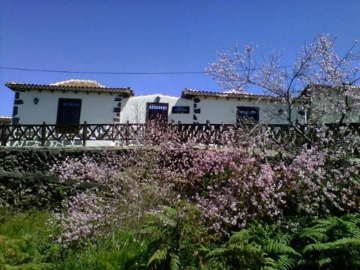 Maison rurale Monte del Agua à El Tanque - Photo 17