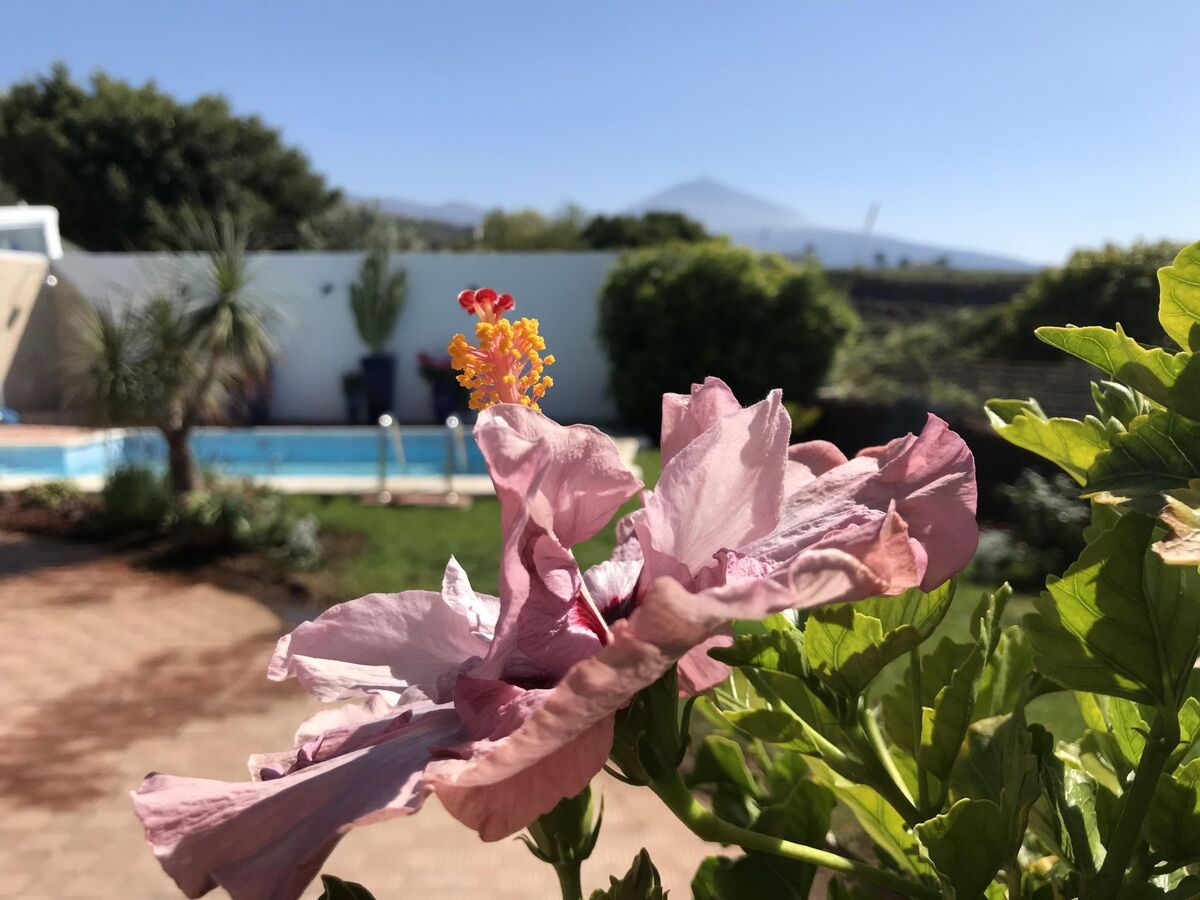 Maison Maria – piscine privée et vue Teide à Tenerife - Photo 8