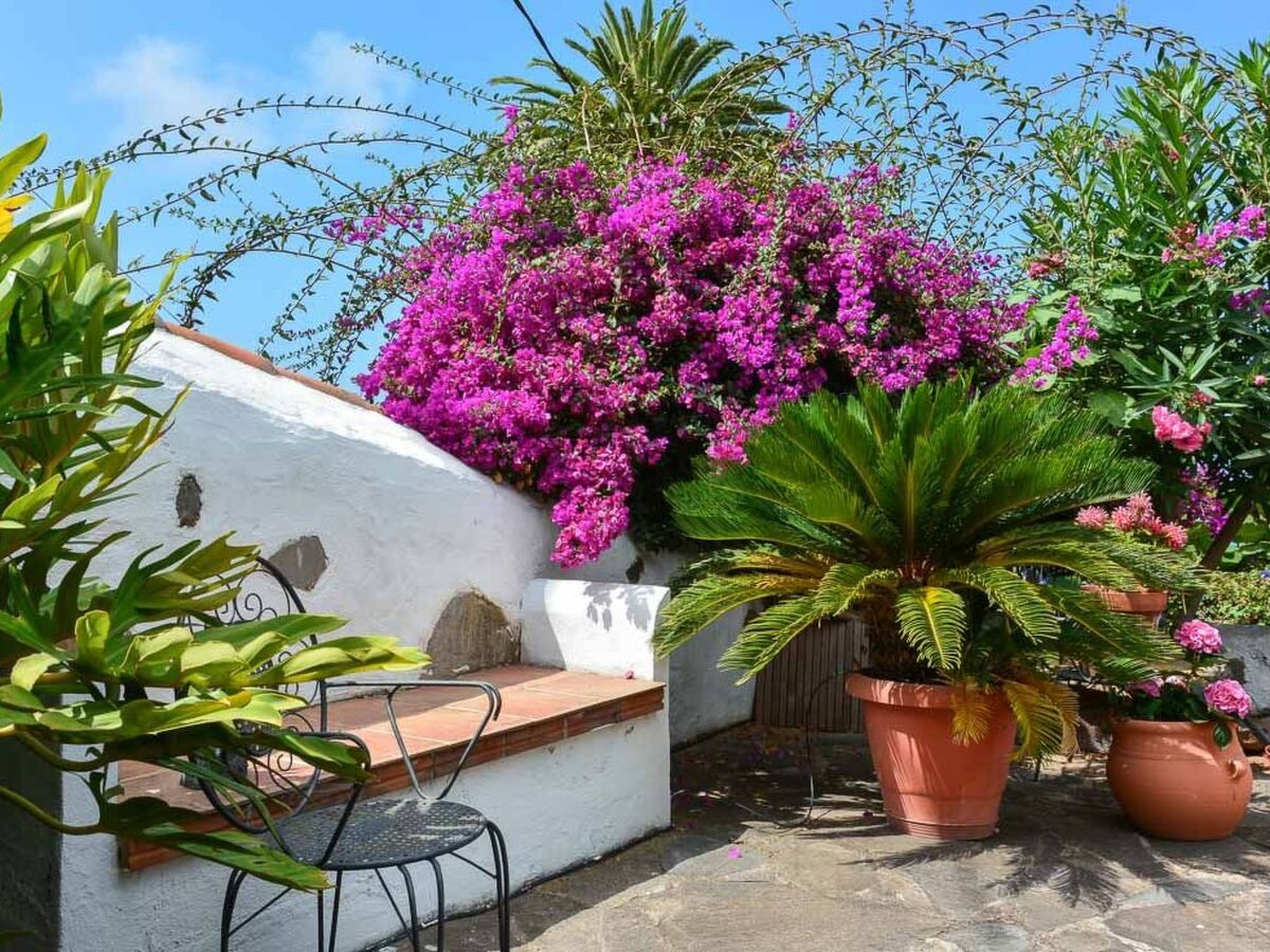 Maison rénovée dans une finca de 1750, piscine privée, vue Teide - Photo 9