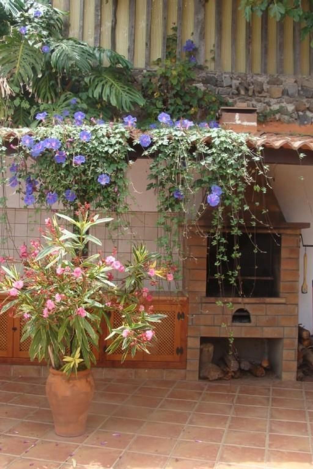 Maison rénovée dans une finca de 1750, piscine privée, vue Teide - Photo 12