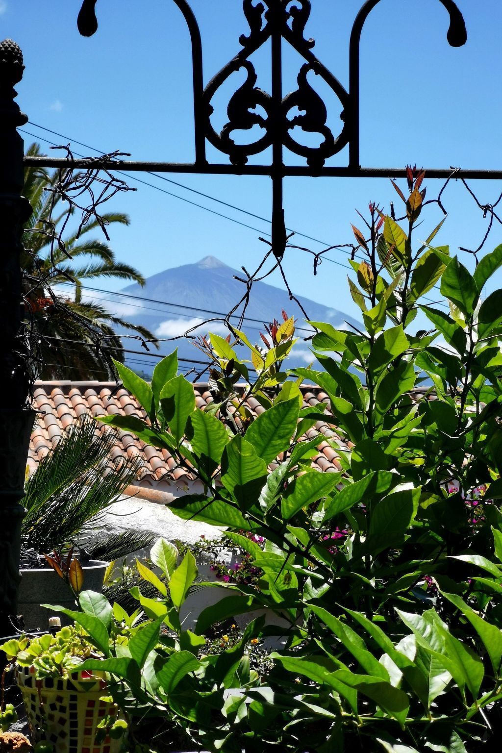 Maison rénovée dans une finca de 1750, piscine privée, vue Teide - Photo 19