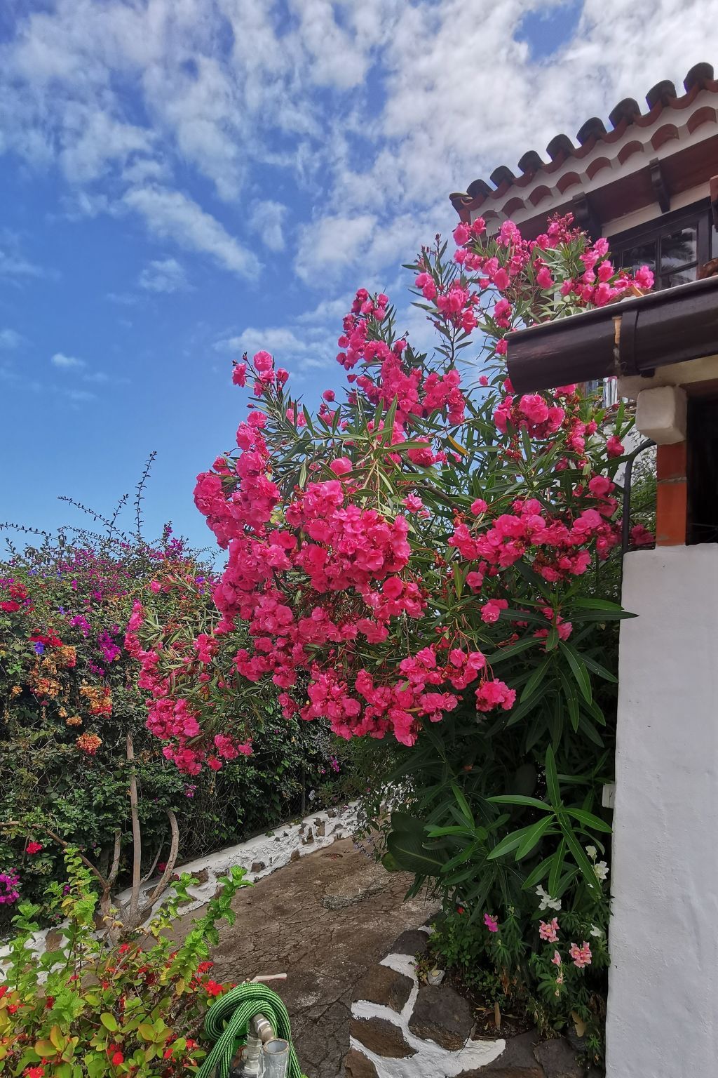 Maison rénovée dans une finca de 1750, piscine privée, vue Teide - Photo 25